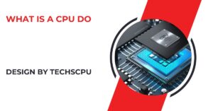 What Is A Cpu Do